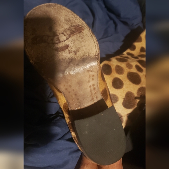 Steve Madden Freebirds - Picture 6 of 6